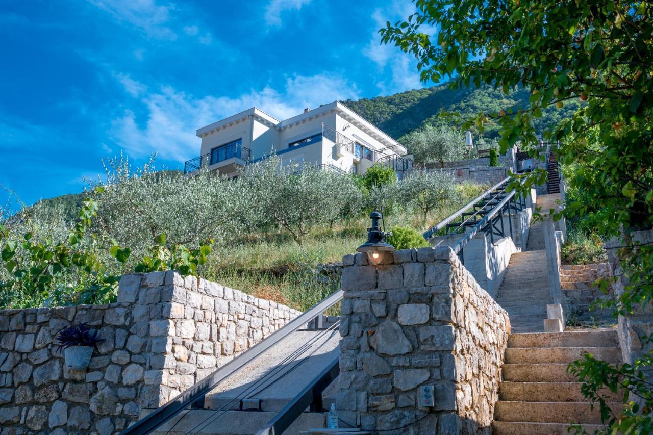 Stoliva Residence With Infinity Pool كوتور المظهر الخارجي الصورة